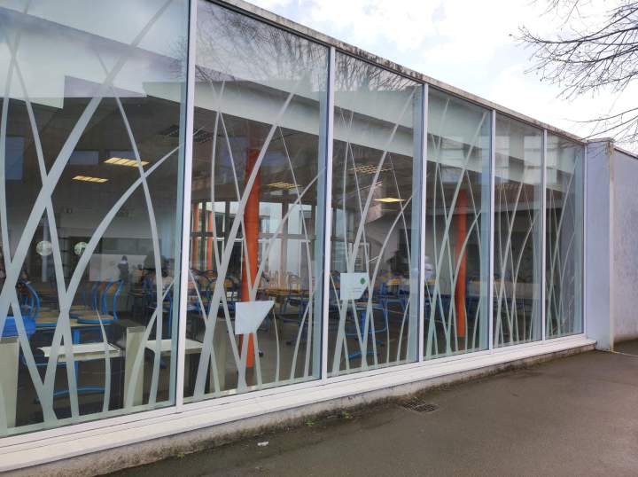 Remplacement doubles vitrages dans mur rideaux